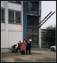 So eine Steckleiter aus Holz wiegt schon einiges.