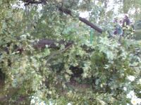 DSC00180_m