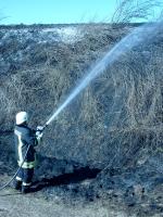 Waldi fand jeden aus so klitze kleinen Brandherd.