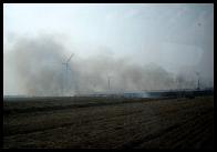 Der Wind erschwerte die Lscharbeiten sehr.